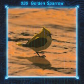 golden_sparrow