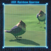 rainbow_sparrow