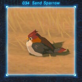 sand_sparrow